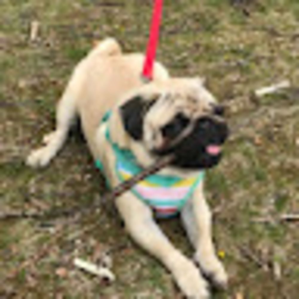 Meet your Posher, Ricard